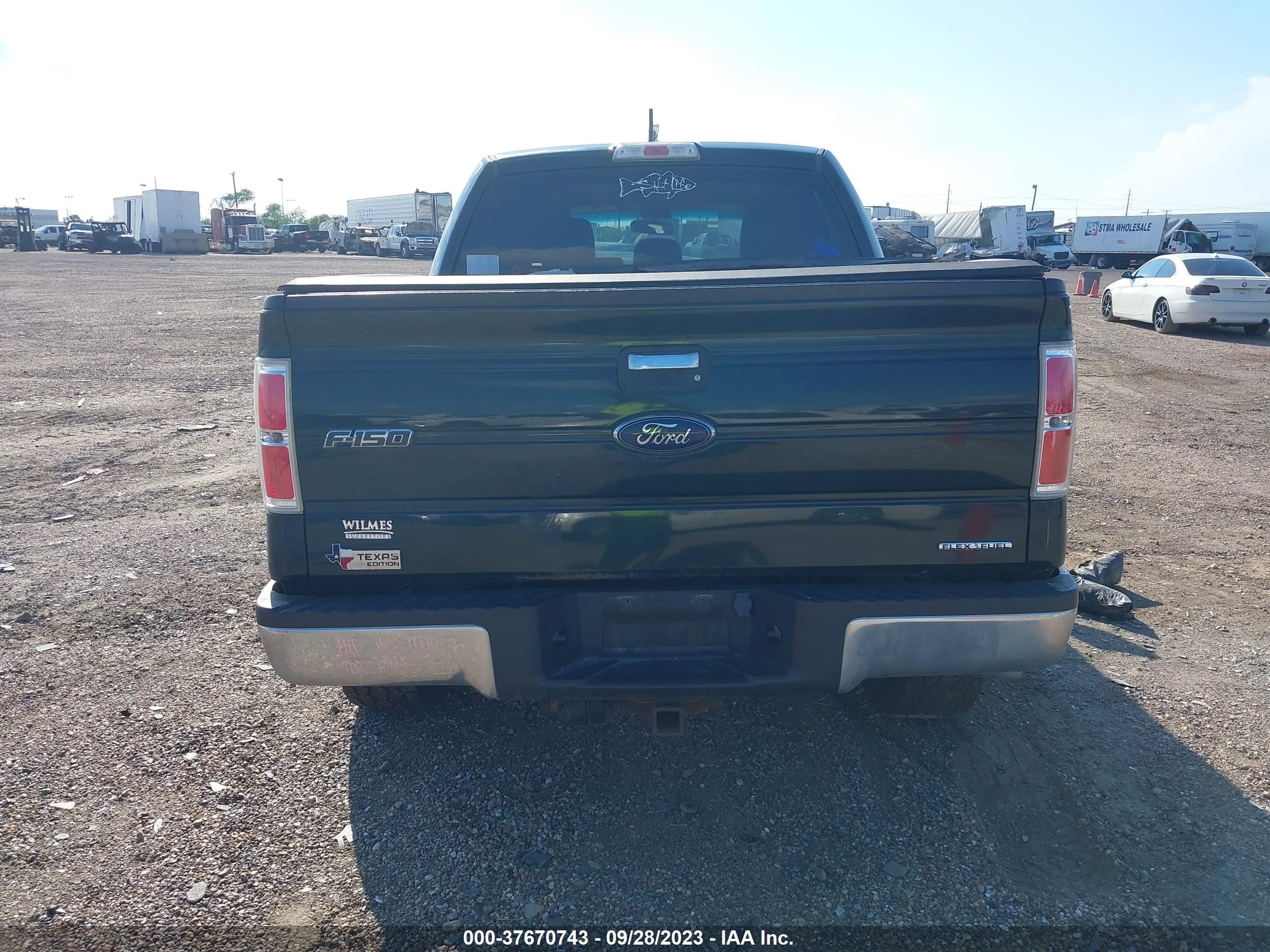 1FTFW1EF2DKD53488  - FORD F-150  2013 IMG - 15